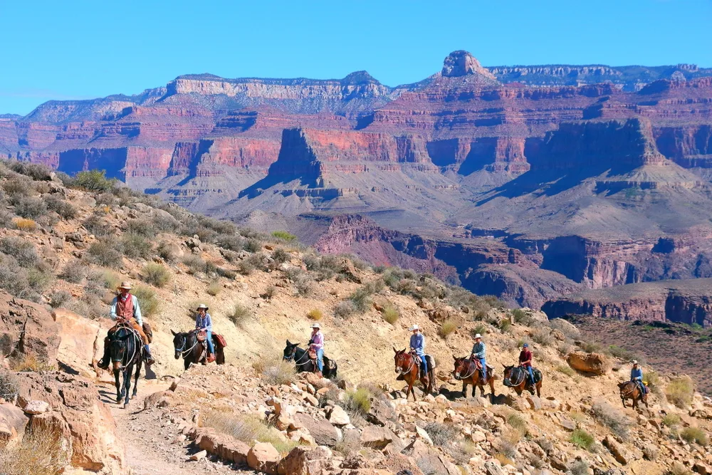 a family on a trail